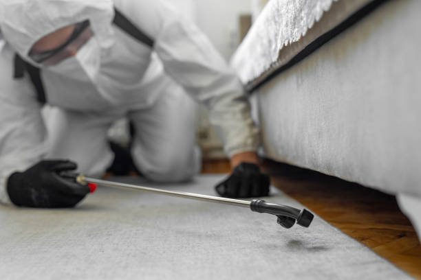 Professional Wasp Control technician working in Shelter Island Heights, NY